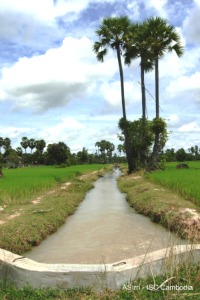 Irrigation canal in Pursat